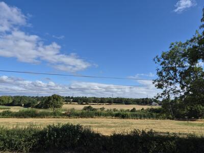 Picture 44